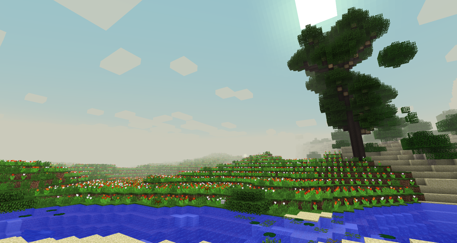 Champ de fleurs minecraftien